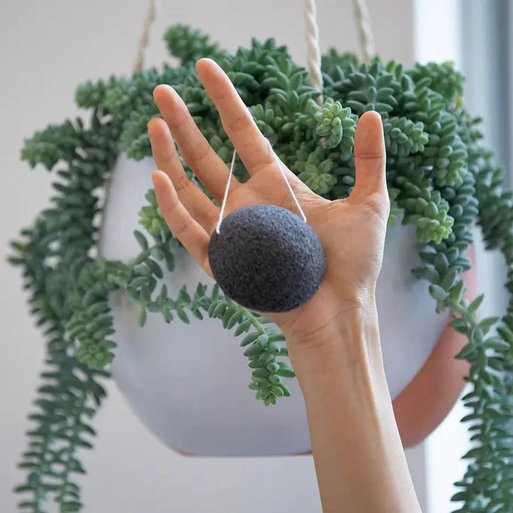 Konjac Facial Sponge - Charcoal.