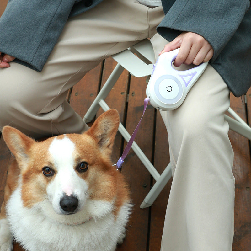 Dog Leash Retractable Leash And Dog Collar Spotlight Automatic Pet Dog Cat Traction Rope For Small Medium Dogs Pet Product.